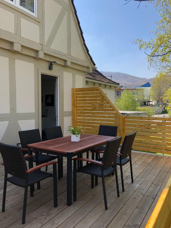 Haus An Der Bode Holiday home